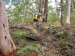 20080420-ONR 137